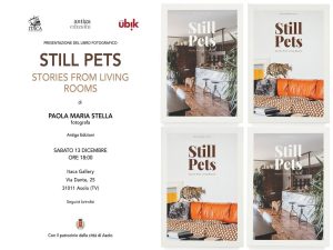 Immagine della locandina di un evento: Still Pets – stories from living rooms Sabato 13 dicembre, ore 18.00, Itaca Gallery, Asolo Itaca Gallery ospita, in collaborazione con Libreria Ubik Asolo e Antiga Edizioni, la presentazione del libro fotografico Still Pets – stories from living rooms, di Paola Maria Stella. Con uno sguardo intimo e sensibile, Paola Maria Stella cattura non solo l’eleganza degli interni – anche asolani e spesso firmati da architetti e designer internazionali – ma anche frammenti di personalità̀di chi li vive, tra arredi, luci e ricordi. Un libro che unisce ritrattistica, architettura, design e amore per la bellezza e gli animali, trasformando la fotografia in un’esperienza di accoglienza e benessere.