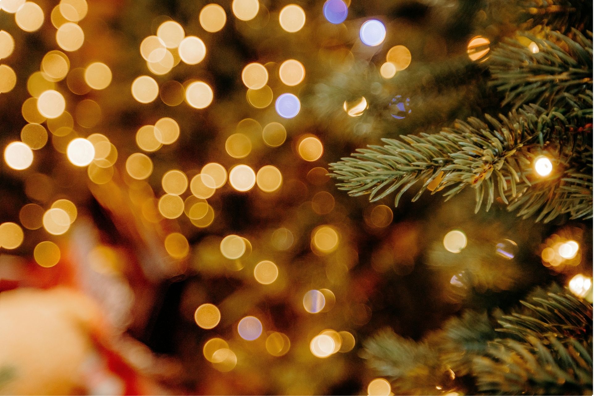 Luci natalizie su ramo di abete, atmosfera calda e festiva